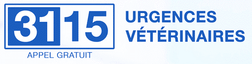 3115 _ Urgences vétérinaires