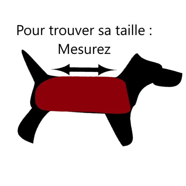 mesure de taille de manteau pour chien