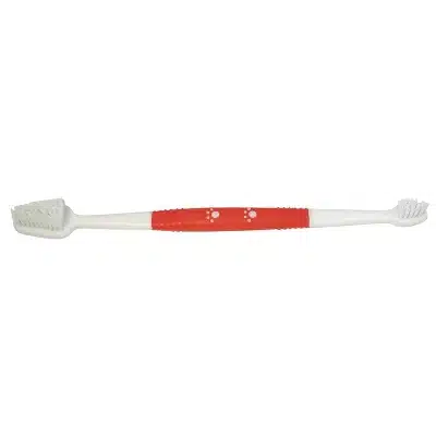 Brosse à dents double