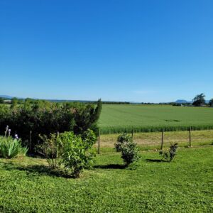 les lhassa de luminia exterieur 2