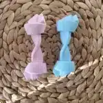 Jouet à mâcher