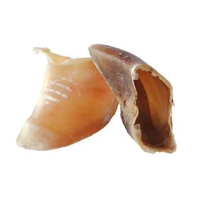 sabot de veau pour chien