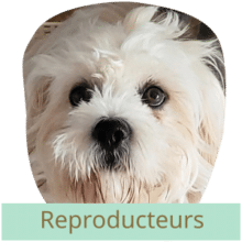 reproducteurs