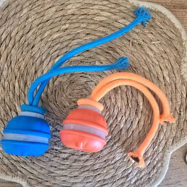 Jouet à balle roulante