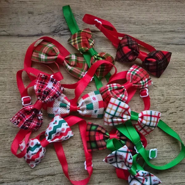 Nœuds Papillon Festifs 2 pièces