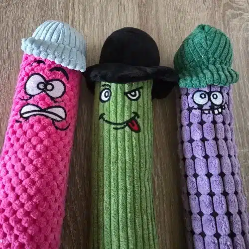 Jouet à mâcher sonore en mousse pour chien