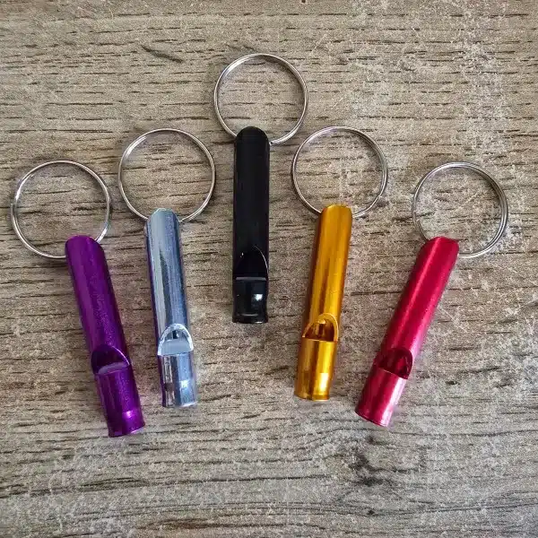 Sifflet de dressage pour chien