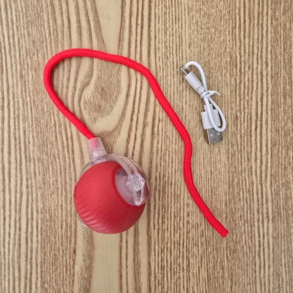 Balle rebondissante lumineuse pour chien