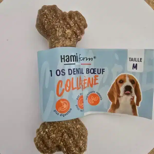 Os dentaire au bœuf