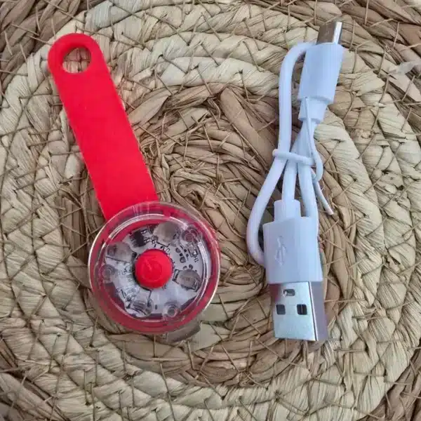 Pendentif lumineux pour chien