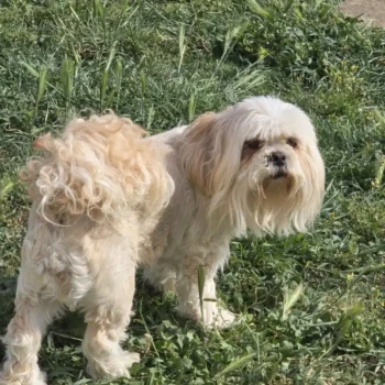 NALA